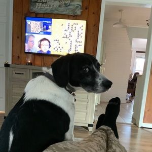 Meet your Posher, Keith